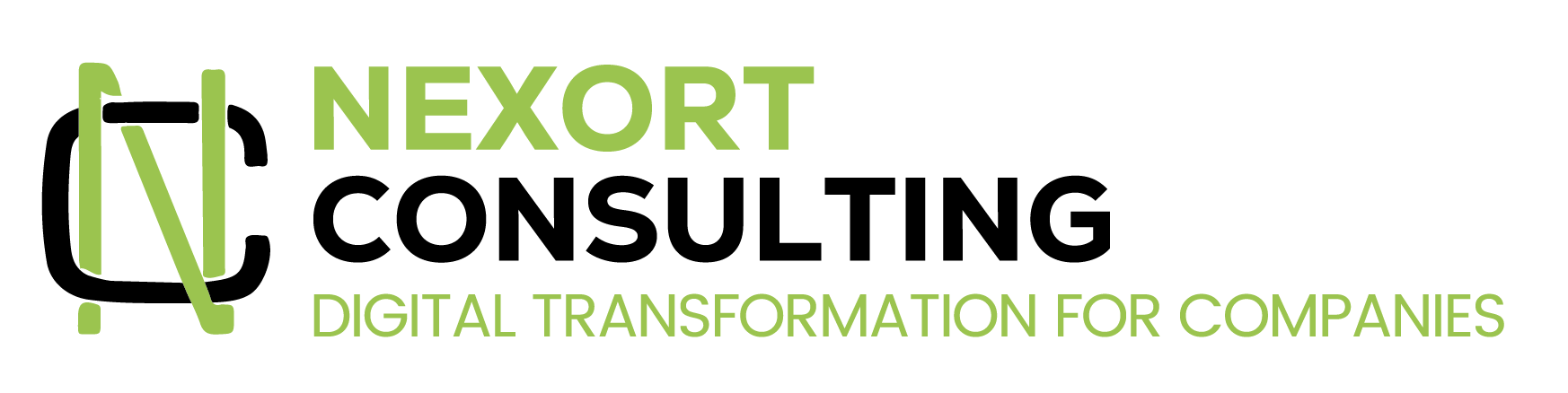 Logo Nexort Consulting